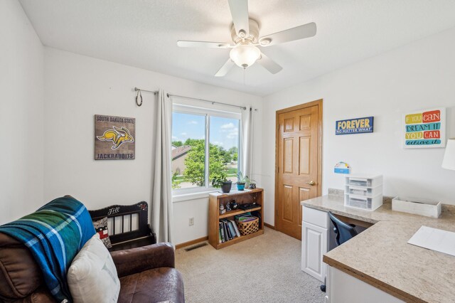 1005 Hope Ave, Jordan, MN 55352 - office area featuring light colored carpet, a ceiling fan, and baseboards