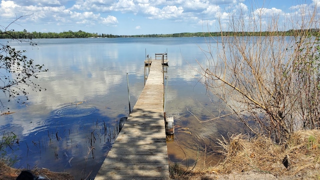 dock with a water view