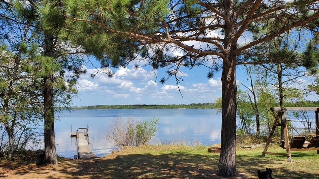 water view featuring a boat dock