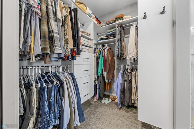 1991 69th Ave S, Fargo, ND 58104 - spacious closet featuring carpet flooring