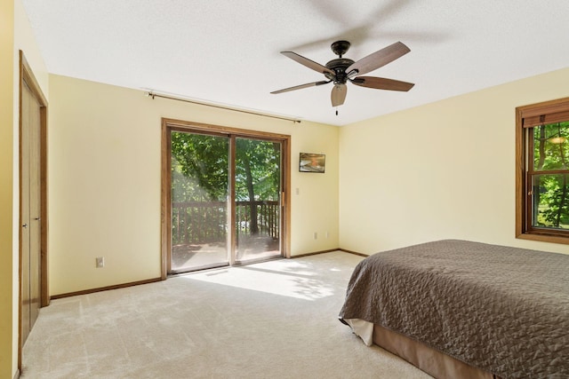 7490 Chanhassen Rd, Chanhassen, MN 55317 - photo 31