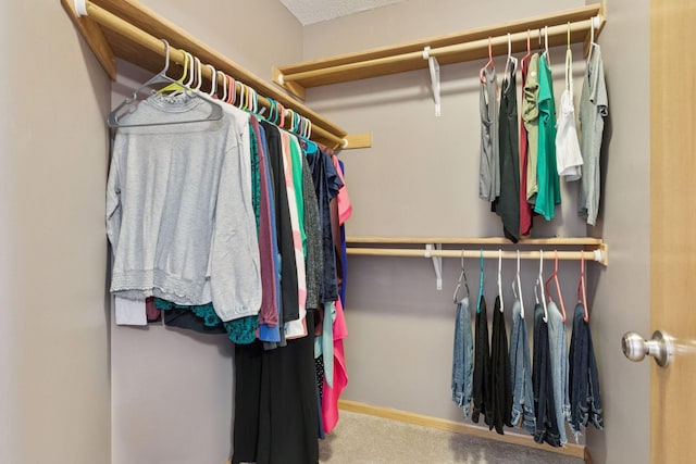 12977 Echo Ln, Apple Valley, MN 55124 - spacious closet with carpet flooring