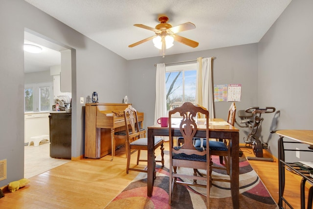 dining space with a ceiling fan, light wood finished floors, and plenty of natural light