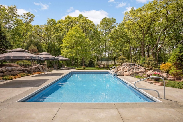 14575 268th Ave NW, Zimmerman, MN 55398 - outdoor pool with a patio area and view of scattered trees