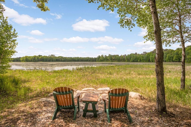 14575 268th Ave NW, Zimmerman, MN 55398 - view of yard with a water view and a wooded view