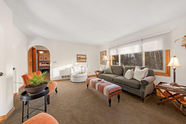2622 159th Ave NE, Ham Lake, MN 55304 - living room featuring arched walkways and carpet floors