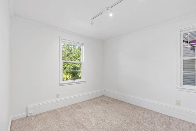 2216 57th St, Minneapolis, MN 55419 - empty room with carpet, crown molding, and rail lighting