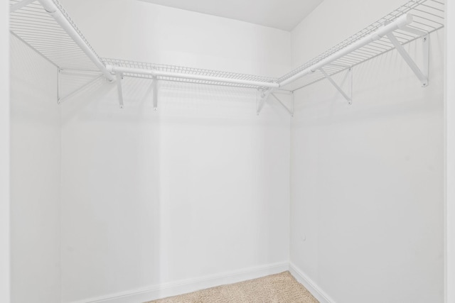 2216 57th St, Minneapolis, MN 55419 - view of spacious closet