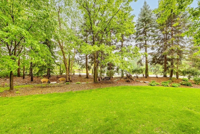 10447 Kilbirnie Rd, Woodbury, MN 55129 - photo 26