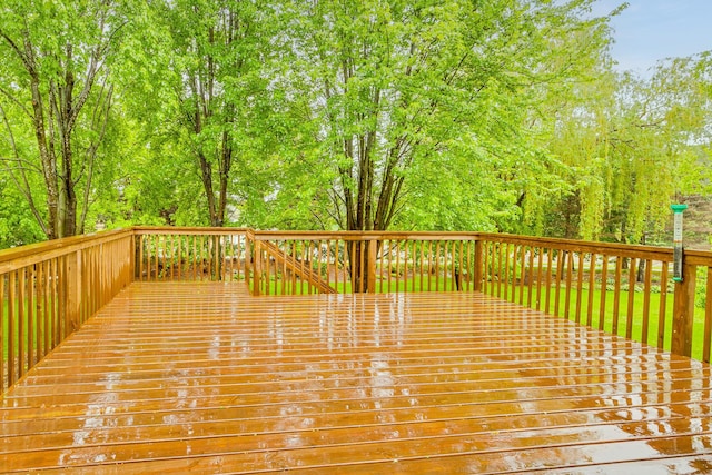 10447 Kilbirnie Rd, Woodbury, MN 55129 - photo 29