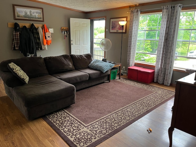 1141 Mahogany St, Mora, MN 55051 - living room with crown molding, wood finished floors, and a textured ceiling