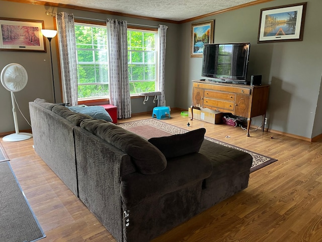 1141 Mahogany St, Mora, MN 55051 - living room featuring crown molding, baseboards, wood finished floors, and a textured ceiling