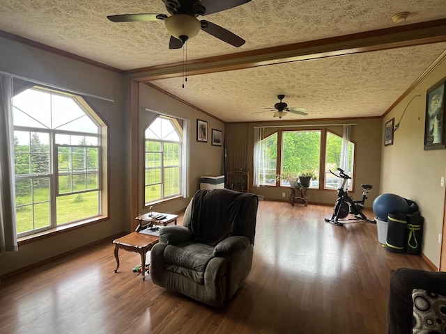 1141 Mahogany St, Mora, MN 55051 - living area featuring ceiling fan, healthy amount of natural light, wood finished floors, crown molding, and a textured ceiling