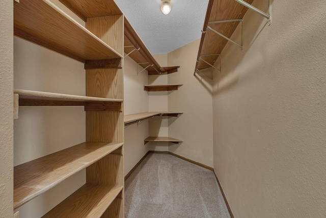 17473 Fairway Cir, Cold Spring, MN 56320 - walk in closet with carpet flooring