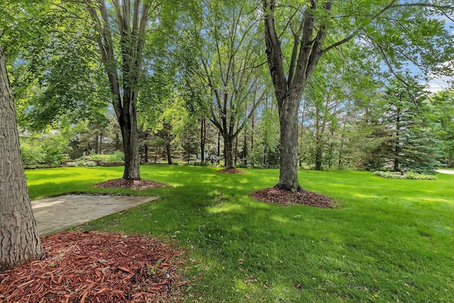 17473 Fairway Cir, Cold Spring, MN 56320 - view of green lawn