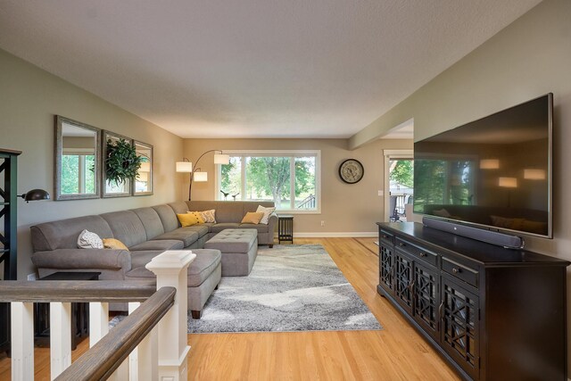 living room featuring light wood-style flooring