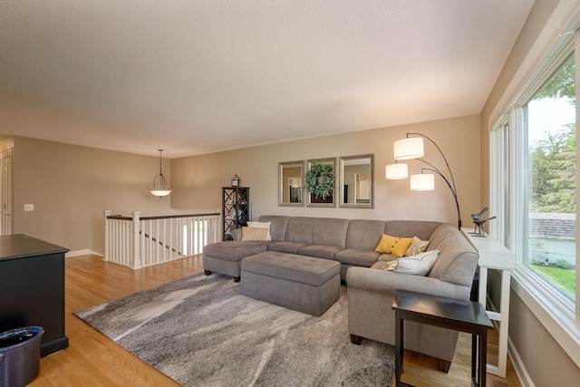 living area with wood finished floors and baseboards