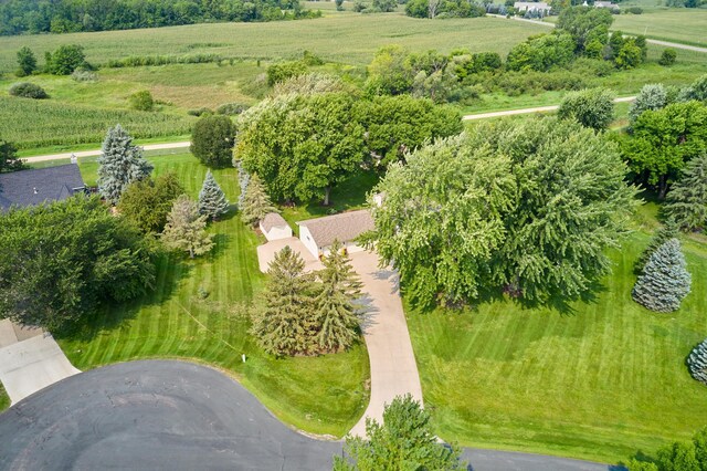 bird's eye view