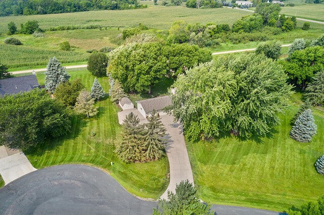 bird's eye view