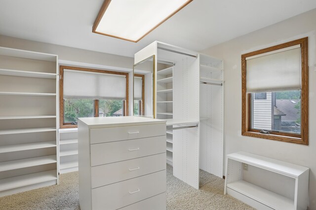 8681 144th Street Ct, Apple Valley, MN 55124 - walk in closet with light colored carpet
