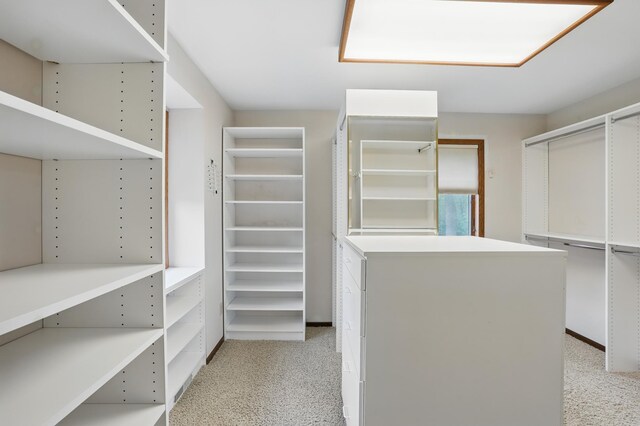 8681 144th Street Ct, Apple Valley, MN 55124 - spacious closet featuring light colored carpet