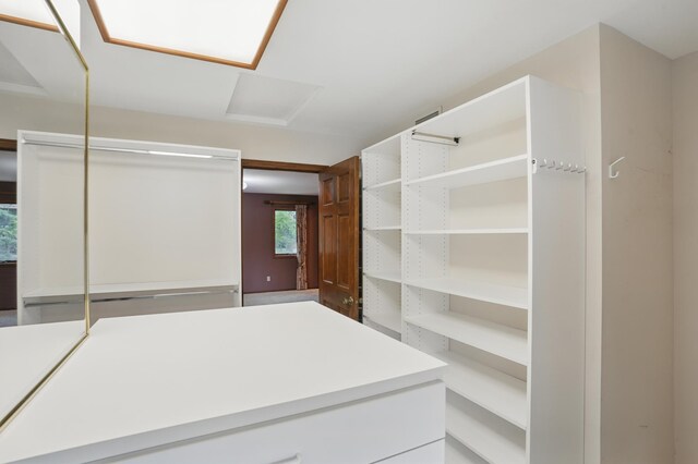 8681 144th Street Ct, Apple Valley, MN 55124 - view of walk in closet