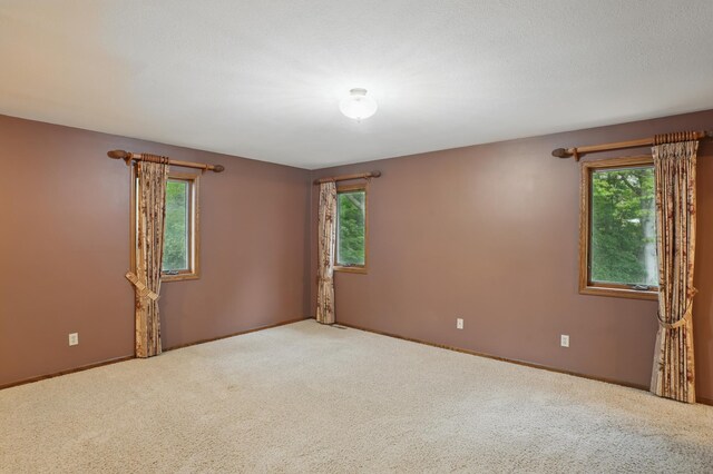 8681 144th Street Ct, Apple Valley, MN 55124 - carpeted spare room with healthy amount of natural light and baseboards