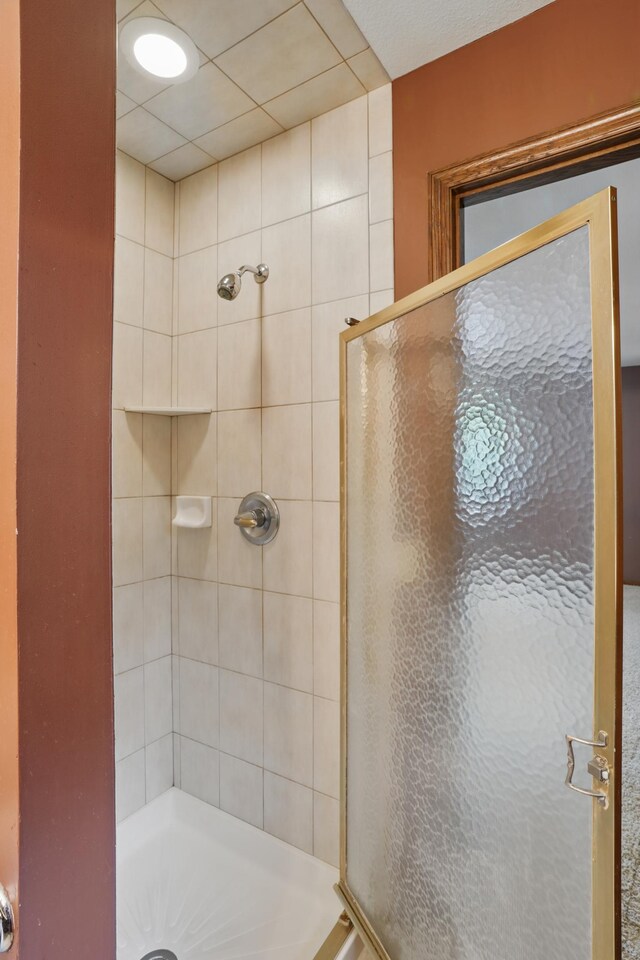 8681 144th Street Ct, Apple Valley, MN 55124 - bathroom with a stall shower