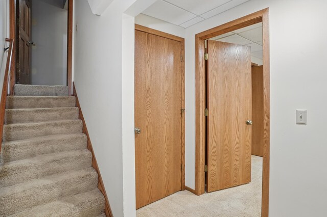 8681 144th Street Ct, Apple Valley, MN 55124 - stairway with carpet flooring, a drop ceiling, and baseboards