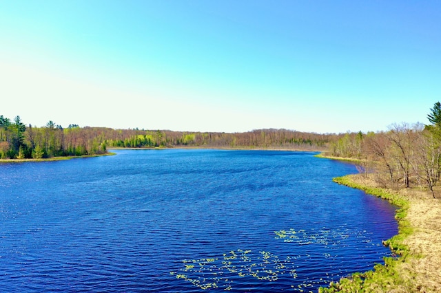 1940 Soper Lake Ln, Clear Creek Unorg Terr, MN 55749 - water view featuring a heavily wooded area