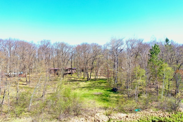 1940 Soper Lake Ln, Clear Creek Unorg Terr, MN 55749 - view of tree filled area