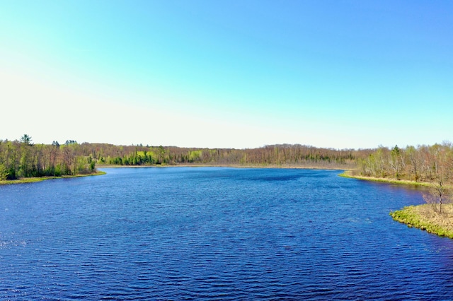 1940 Soper Lake Ln, Clear Creek Unorg Terr, MN 55749 - water view with a heavily wooded area