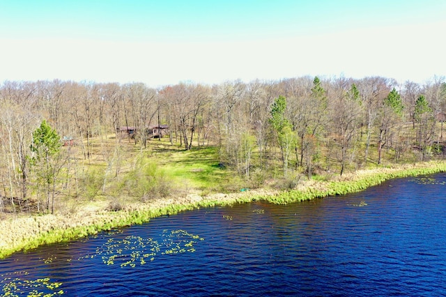 1940 Soper Lake Ln, Clear Creek Unorg Terr, MN 55749 - water view with a heavily wooded area