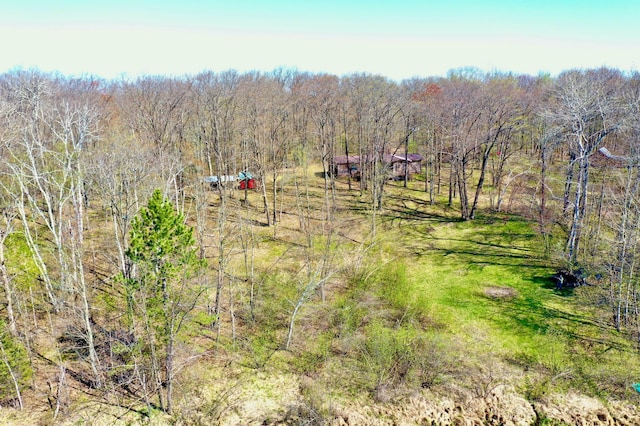 1940 Soper Lake Ln, Clear Creek Unorg Terr, MN 55749 - view of wooded area