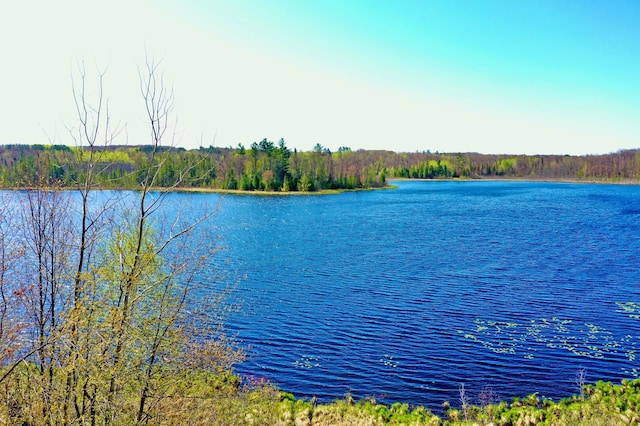 1940 Soper Lake Ln, Clear Creek Unorg Terr, MN 55749 - water view