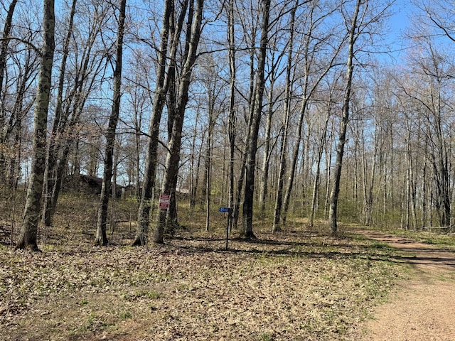 1940 Soper Lake Ln, Clear Creek Unorg Terr, MN 55749 - view of tree filled area