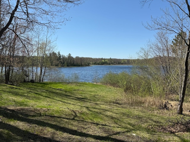 1940 Soper Lake Ln, Clear Creek Unorg Terr, MN 55749 - water view featuring a heavily wooded area