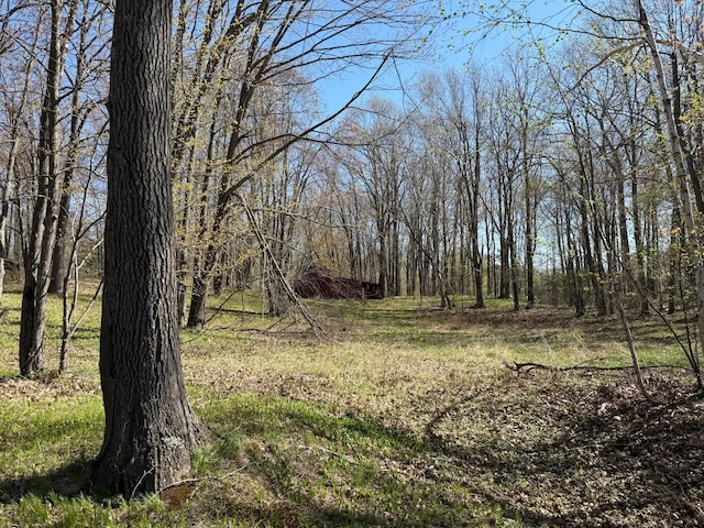 1940 Soper Lake Ln, Clear Creek Unorg Terr, MN 55749 - view of yard with a wooded view
