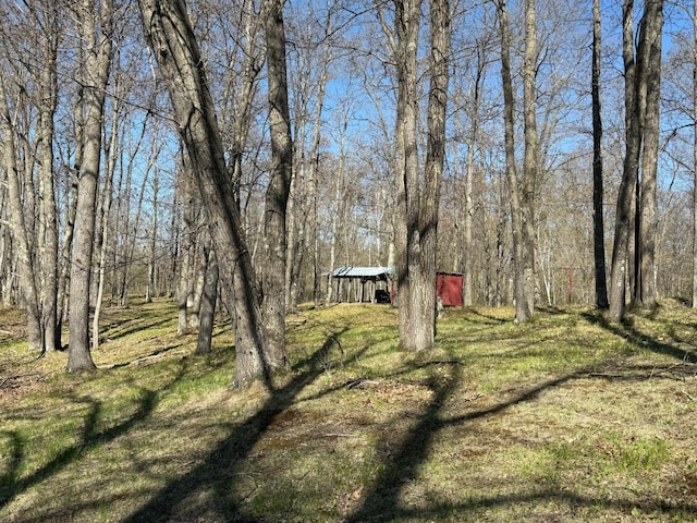 1940 Soper Lake Ln, Clear Creek Unorg Terr, MN 55749 - view of yard featuring a detached carport and a view of trees