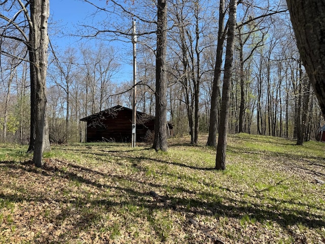 1940 Soper Lake Ln, Clear Creek Unorg Terr, MN 55749 - view of yard