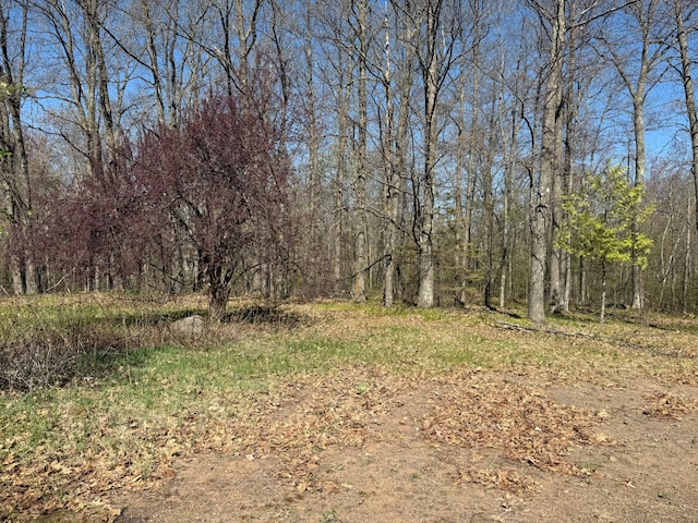 1940 Soper Lake Ln, Clear Creek Unorg Terr, MN 55749 - view of wooded area
