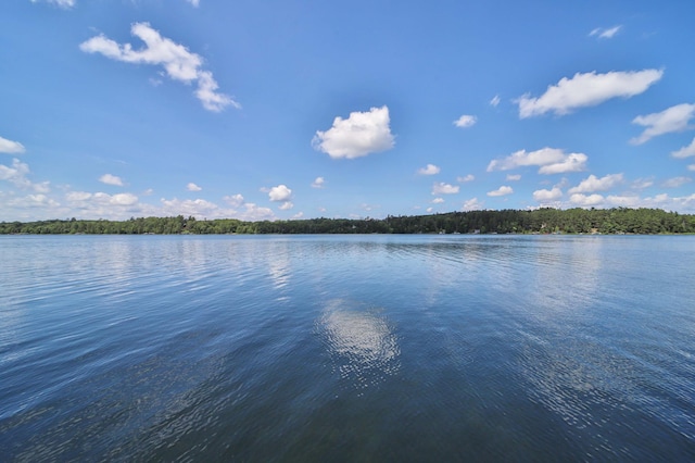 1929 Ponto Lake Rd NW, Backus, MN 56435 - photo 69