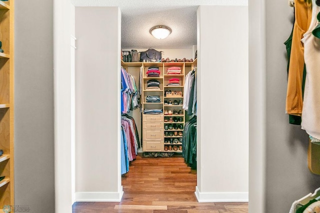 2501 30th Ave S Unit 201, Fargo, ND 58103 - walk in closet with wood finished floors