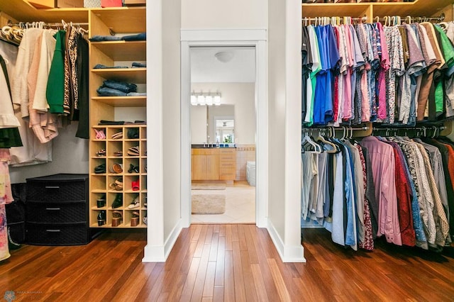 2501 30th Ave S Unit 201, Fargo, ND 58103 - walk in closet with wood finished floors
