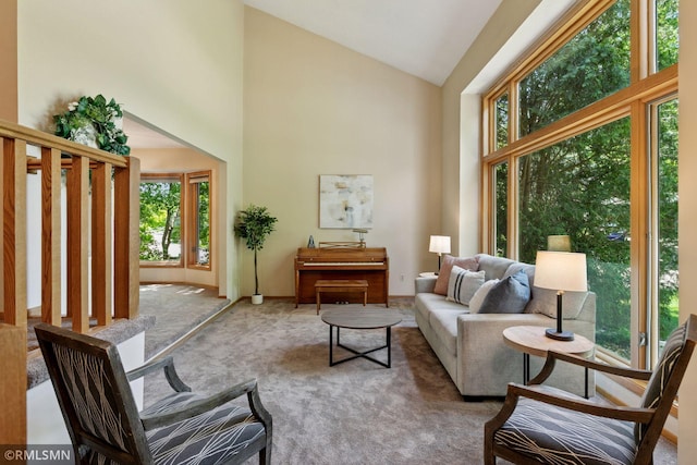 12762 Foliage Ave, Apple Valley, MN 55124 - carpeted living room featuring high vaulted ceiling
