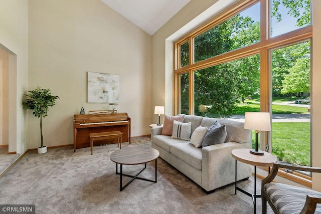 12762 Foliage Ave, Apple Valley, MN 55124 - carpeted living area with high vaulted ceiling and baseboards