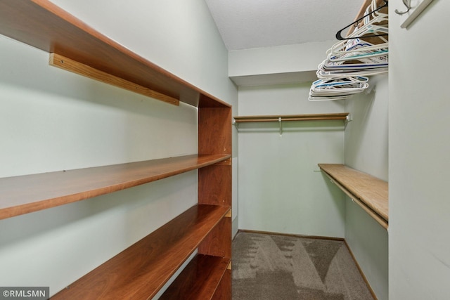 12762 Foliage Ave, Apple Valley, MN 55124 - walk in closet with carpet floors