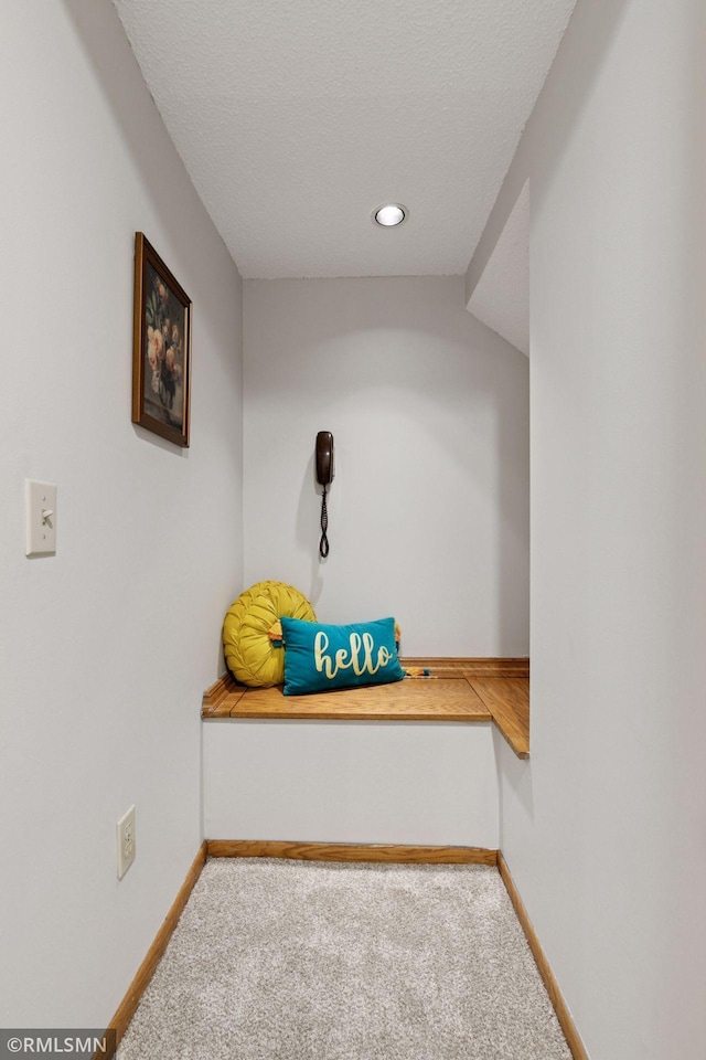 12762 Foliage Ave, Apple Valley, MN 55124 - detailed view of carpet flooring, baseboards, and recessed lighting