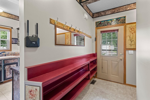 351 100th Ct NE, Blaine, MN 55434 - entryway featuring a sink and light tile patterned floors