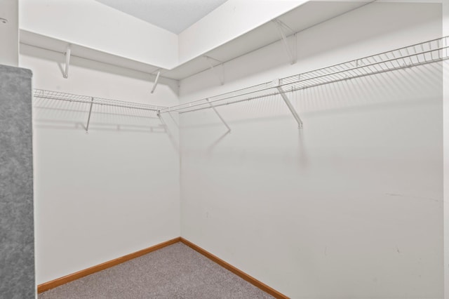 351 100th Ct NE, Blaine, MN 55434 - walk in closet featuring carpet floors